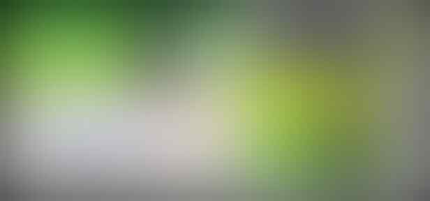 Jasa Download Torrent , Youtube dll ( Bandung )