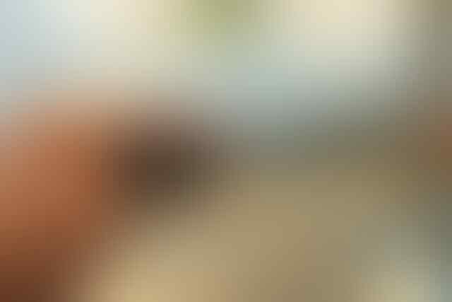 <<Samsung Galaxy SII I9100 EX GARANSI Surabaya>>