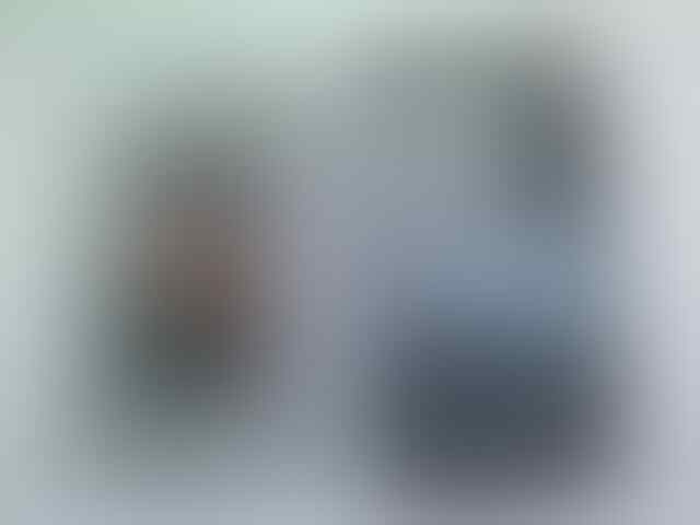 SONY XPERIA Z vs XPERIA L SOFT JACKET /TPU CASE BARU MURAH BANDUNG