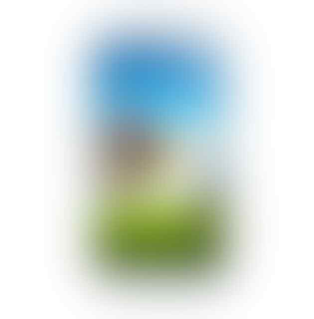 Replika Samsung Galaxy S4 NEW