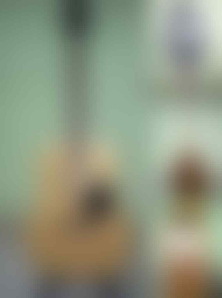 Gitar Akustik / Guitar Acoustic SAMICK / GREG BENNETT / LUCERO / MITCHEL / ADAM BLACK