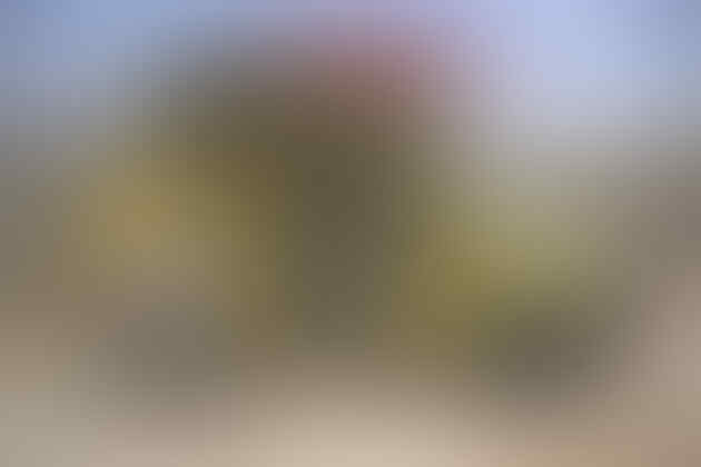 12 kendaraan terbaik untuk bertahan dari serangan zombie