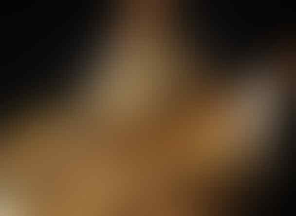 10 Mumi Paling Menarik dan Terkenal di Dunia