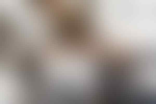 10 Mumi Paling Menarik dan Terkenal di Dunia