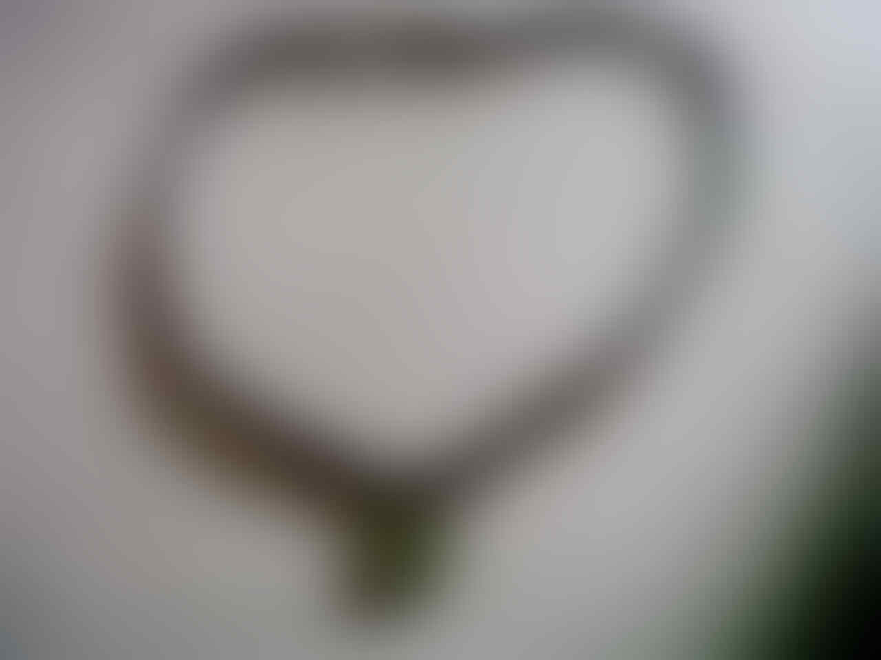 (ASK) Tolong bantu terawangin kalung saya..