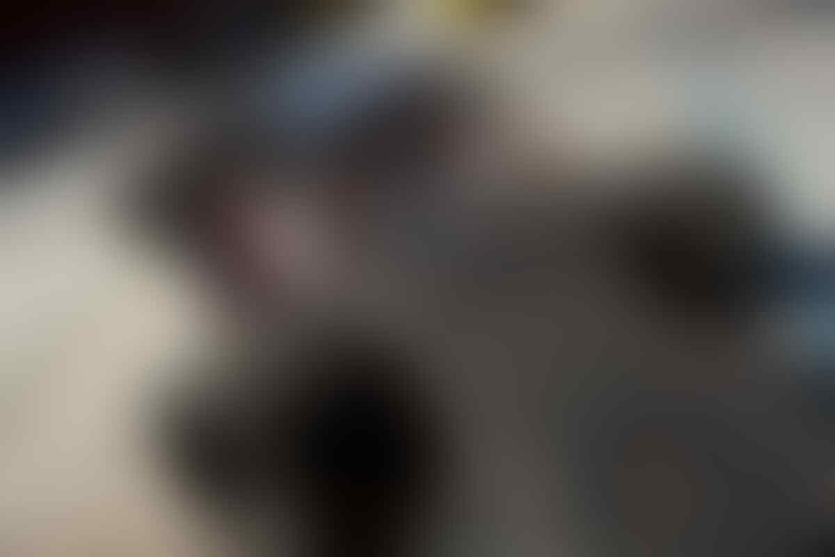 12 kendaraan terbaik untuk bertahan dari serangan zombie