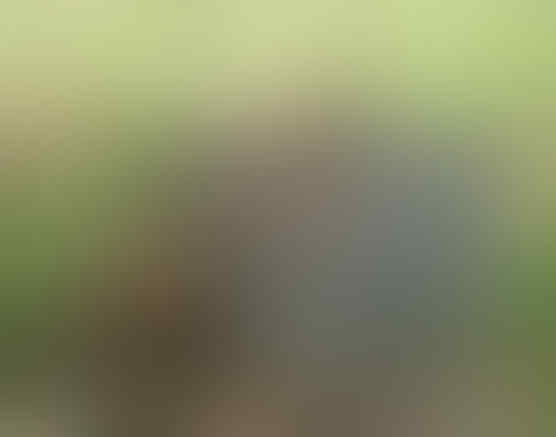 12 kendaraan terbaik untuk bertahan dari serangan zombie