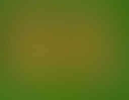 ALL ABOUT KAMBOJA