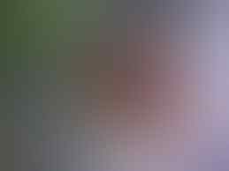 ALL ABOUT KAMBOJA