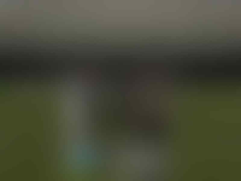 (mimmiedvd) FIFA 2014 + UPDATE PATCH TERBARU + STABIL + GAK RIBET MURAH