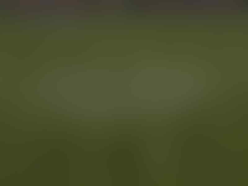 (mimmiedvd) FIFA 2014 + UPDATE PATCH TERBARU + STABIL + GAK RIBET MURAH