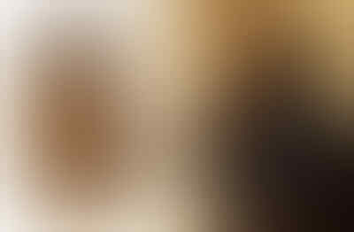 6 serangga yang cocok ikut hallowen gan