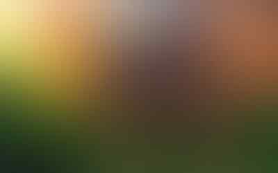 ~๑๑.6 Kisah Urban Legend Hantu Tanpa Kepala di Dunia .๑๑~