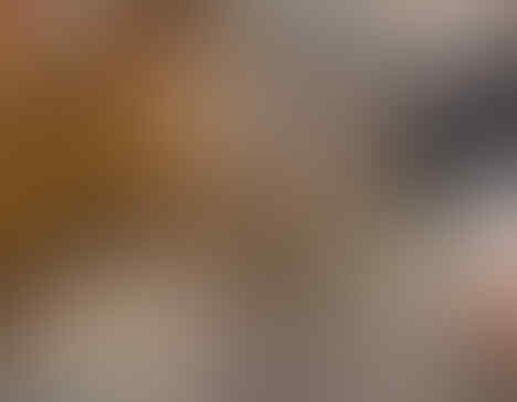 WAW !!! Wanita Dengan Tatto di Tubuh Terbanyak di Dunia !!!