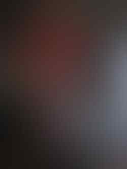 Jual/Beli/Barter HOTTOYS,ENTERBAY lainnya