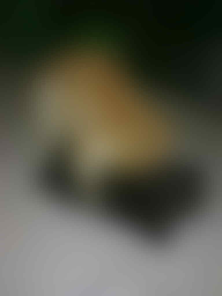 JASA PACAK KUCING PEAKNOSE JAKARTA SELATAN KEMANG