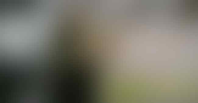 Inilah 7 cara mengemis yang paling aneh dan unik di dunia