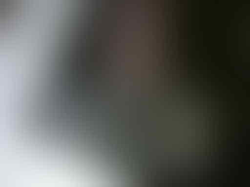 Jual/Beli/Barter HOTTOYS,ENTERBAY lainnya