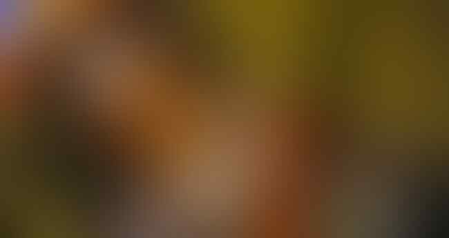 5 Jenis Polisi Tidur yang ada di Negara Indonesia