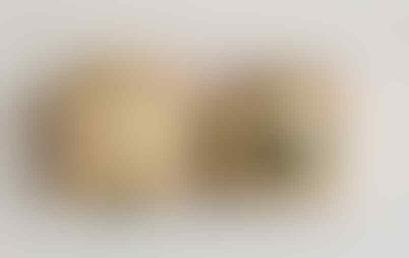 15 Gadget Yang Akan Membuat Agan Merasa Aman