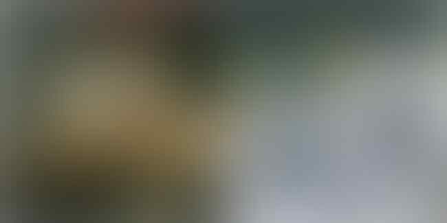 ~๑๑.Akankah Kita Setia Sampai Tua Seperti Mereka?.๑๑~