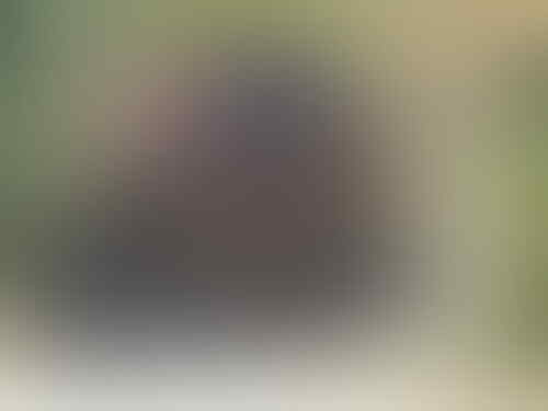 Foto-Foto ‘Pindah Bangunan’ Paling Dramatis