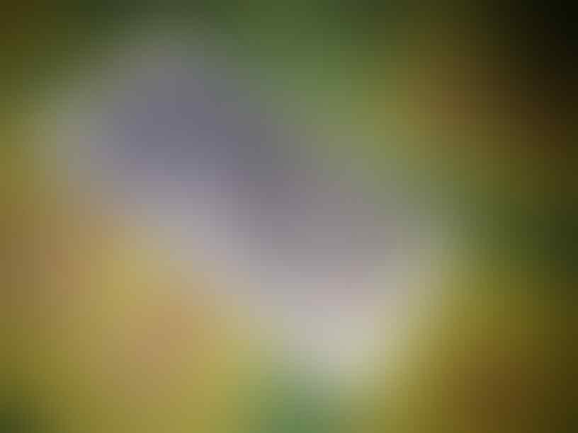 REPLIKA GALAXY NOTE 3 SENSOR DETAK JANTUNG,LANGKAH KAKI,MULTIWINDOW,QUADCORE 1 JT+