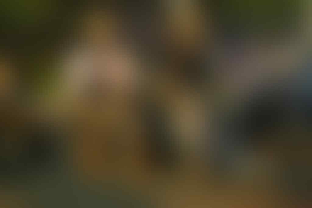 The Big Family Of Kalong Malam Revolutions - Part 31
