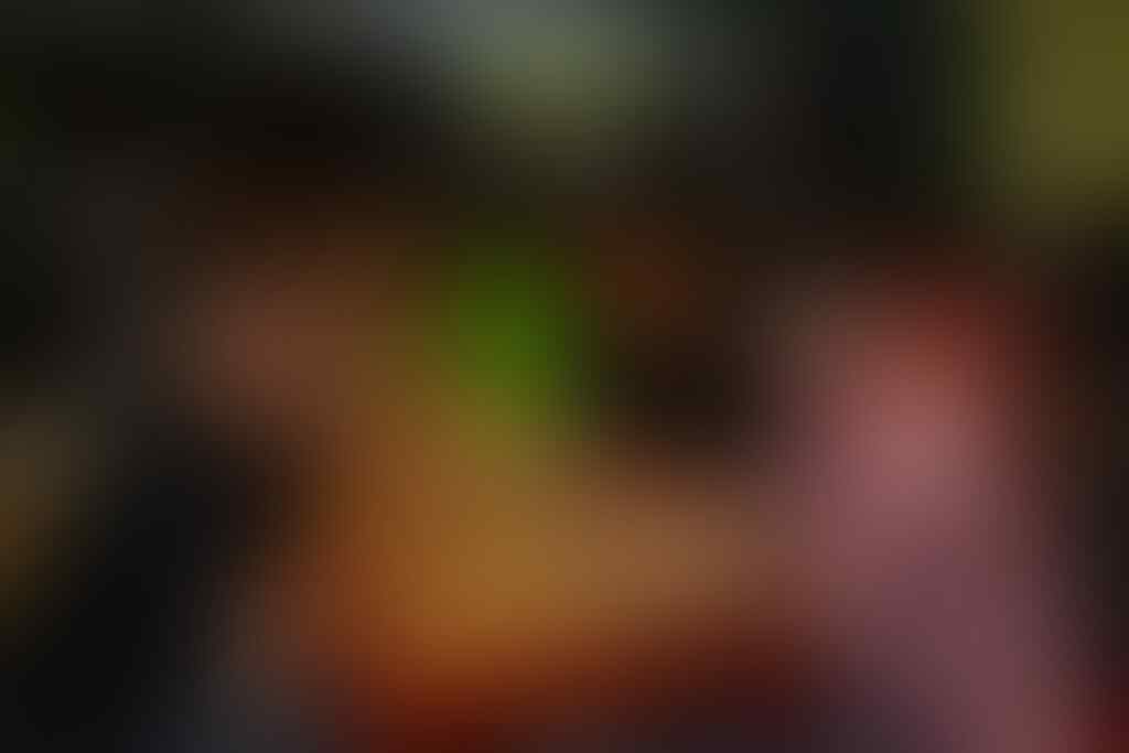 The Big Family Of Kalong Malam Revolutions - Part 31