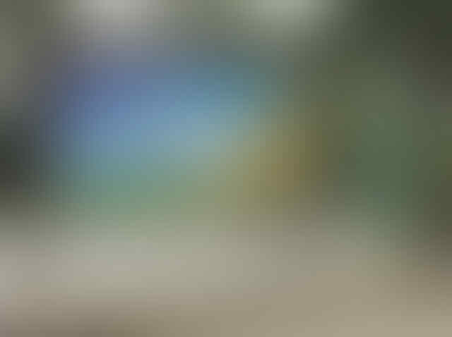 Foto Mencengangkan Karya Seniman "Hantu"