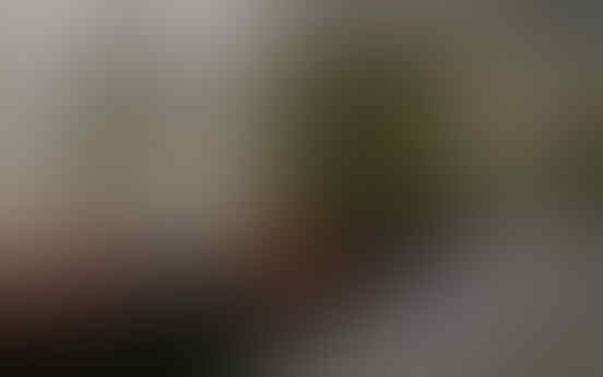 Foto Mencengangkan Karya Seniman "Hantu"