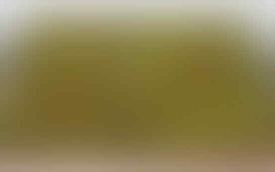 Foto Mencengangkan Karya Seniman "Hantu"
