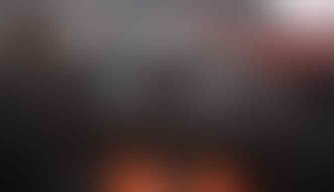 Semut Orange Kumpulkan 6,5 Kuintal Ranjau Paku