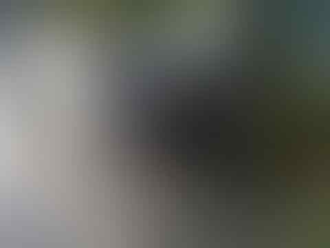 butuh cepet cbr 250 thun 2011