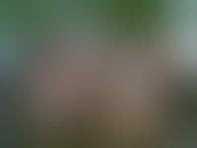 Ciri Gadis Cabe Cabean Di Indonesia
