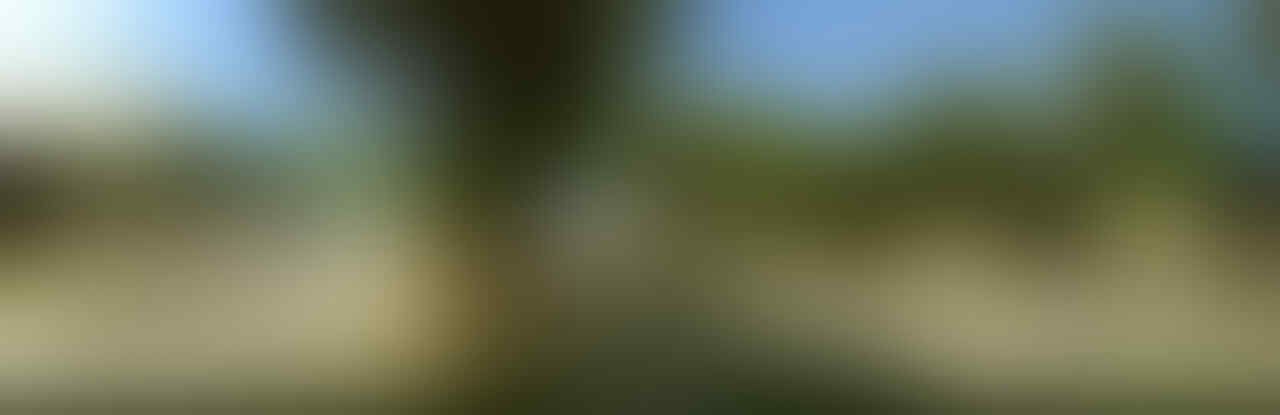 Kumpulan photo Vertical Garden