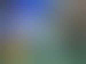 Misteri Tom and Jerry