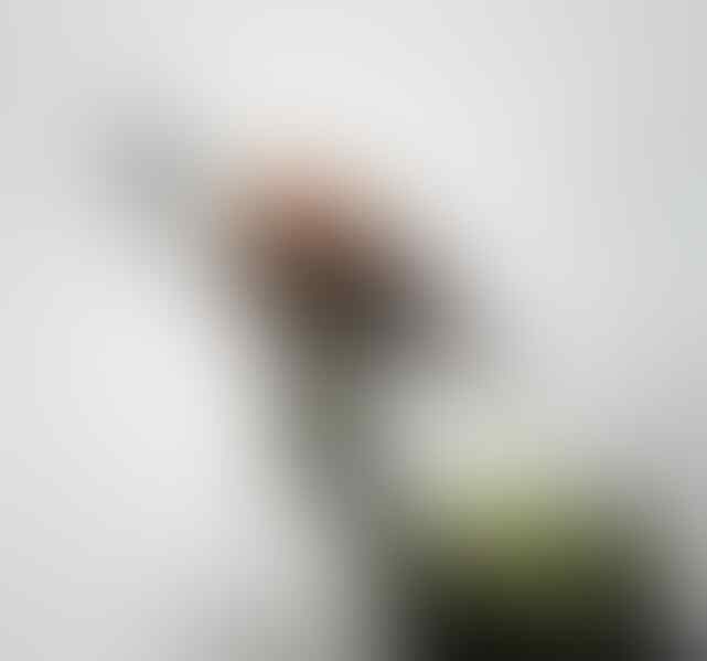 Yakin Pernah Liat 'Burung' yang Ini Gan? Yuk Intip!