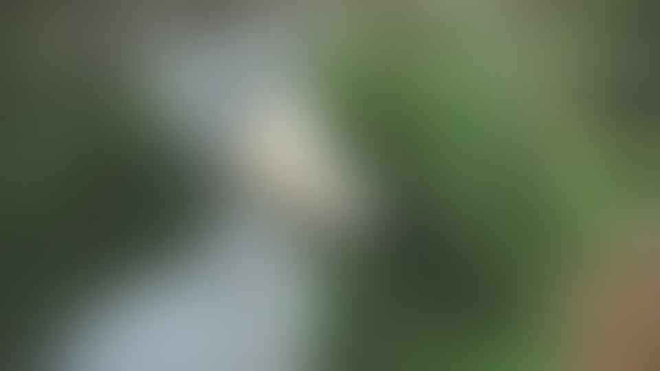 Yakin Pernah Liat 'Burung' yang Ini Gan? Yuk Intip!