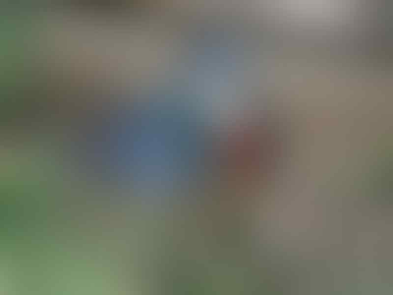Yakin Pernah Liat 'Burung' yang Ini Gan? Yuk Intip!