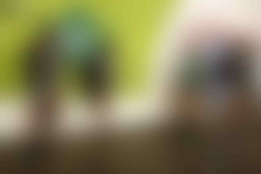 " Iki Jaman Edan ", apa orangnya yang Edan ? ( Mbah Khentir )