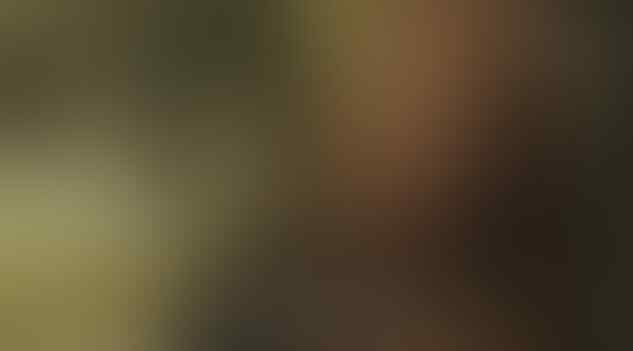 Alasan Kenapa Industri Sex di Jepang Sangat Aktif
