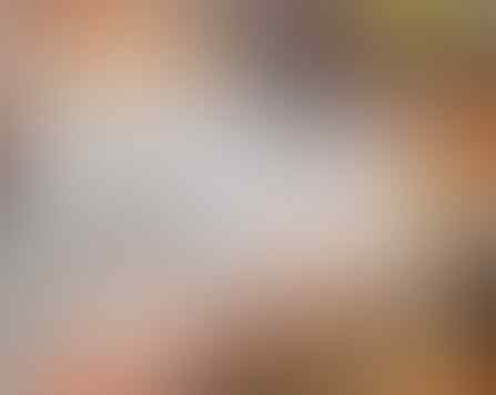 Alasan Kenapa Industri Sex di Jepang Sangat Aktif
