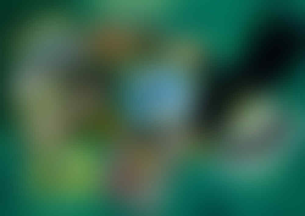 Jenis Burung Langka dan sangat indah ini Berasal dari Indonesia