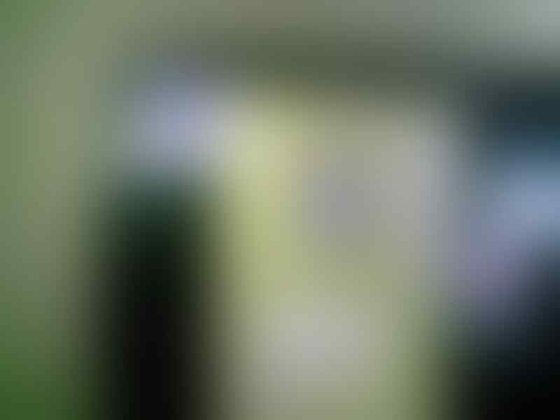 jual blackberry huron 8830 masi segel dan fullset 400rb aja jual cepet