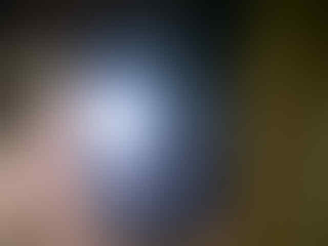 blackberry essex 9650