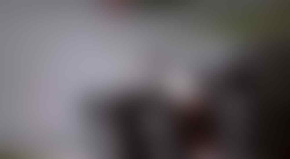 F1-lution: Evolusi Balap Formula 1 Dari Masa ke Masa