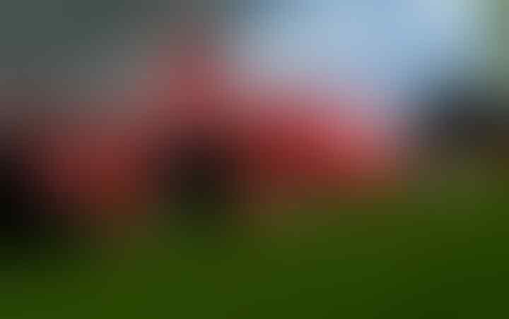F1-lution: Evolusi Balap Formula 1 Dari Masa ke Masa