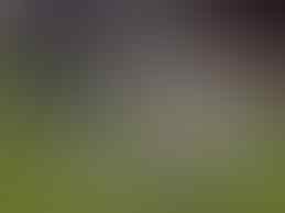 13 Pemain Bola yg Sering Melakukan DIVING