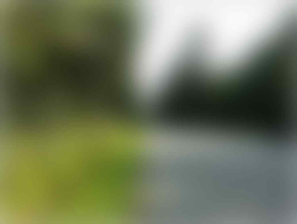 21 Jalan Paling Mengesankan di Dunia